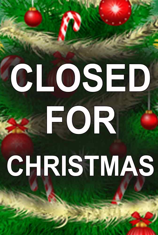 Movie Poster for Closed for Christmas.