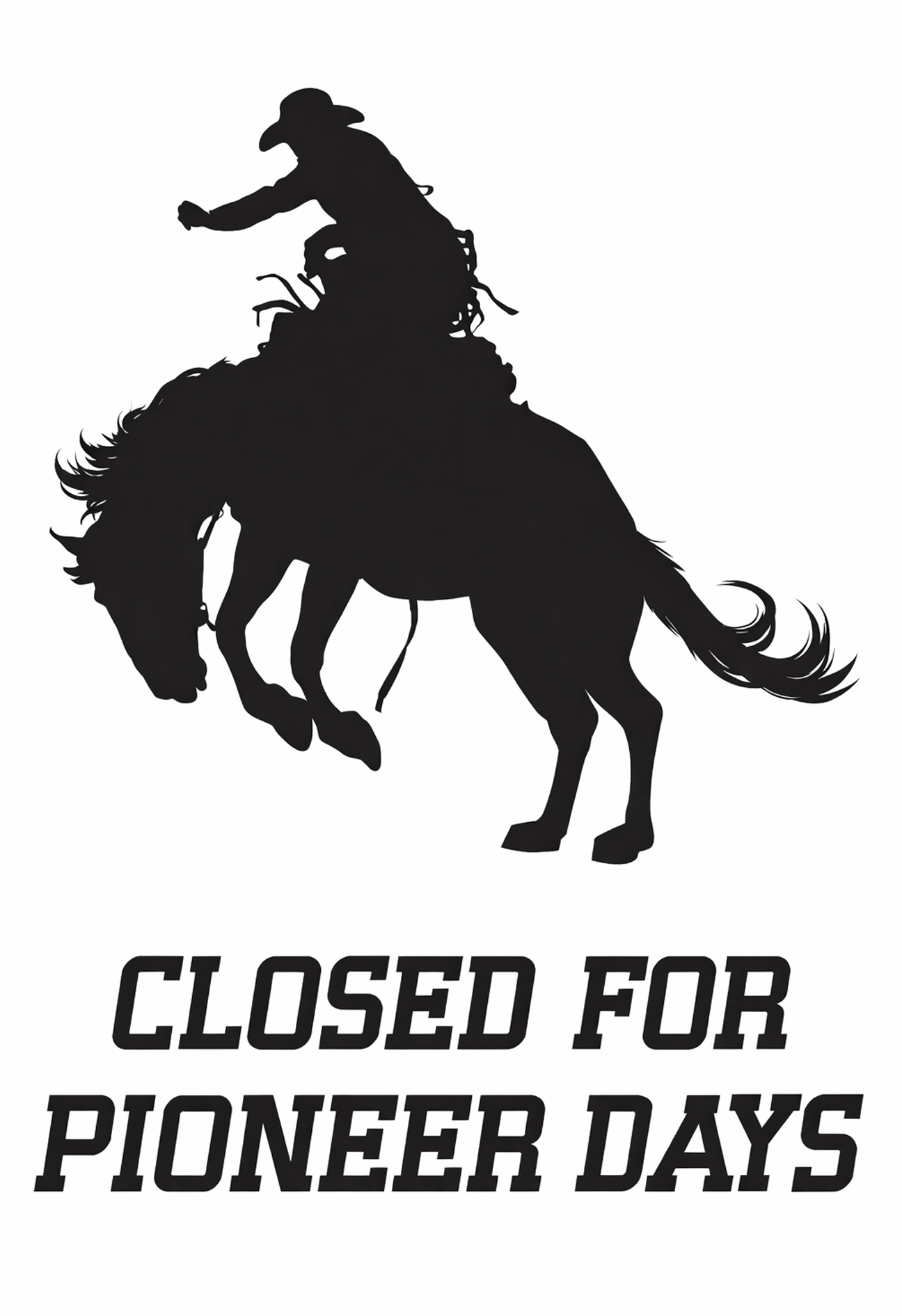Movie Poster for Closed Pioneer DayS.